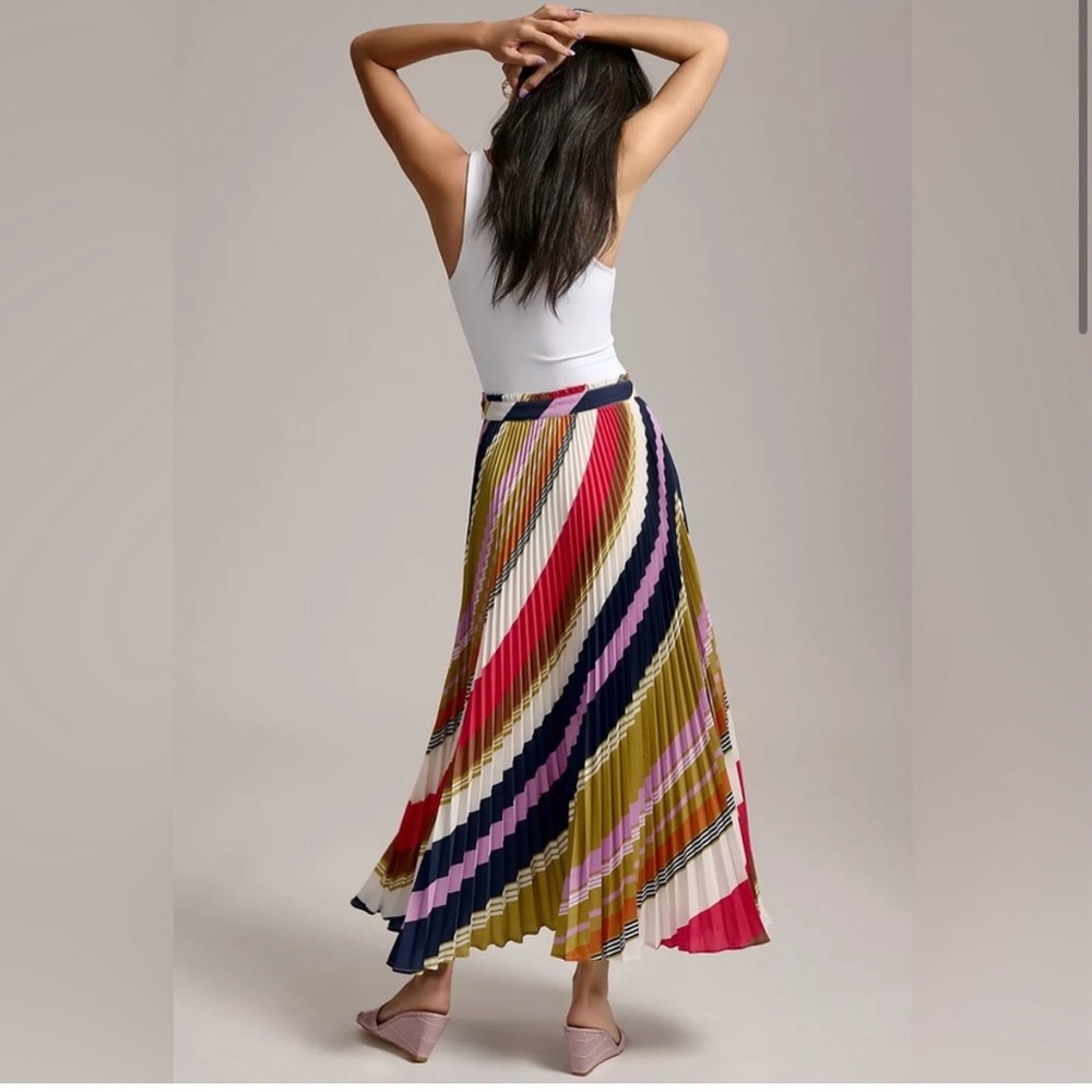 Pleated Chevron Midi Skirt in Multicolor Stripe - Picture 2 of 14